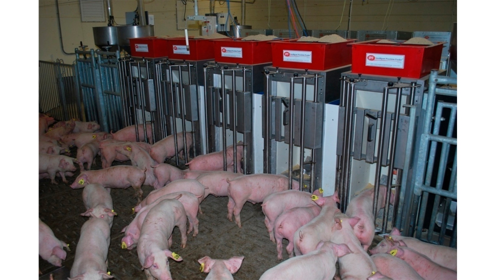 Logo Precision livestock farming data sharing, integration and exploitation